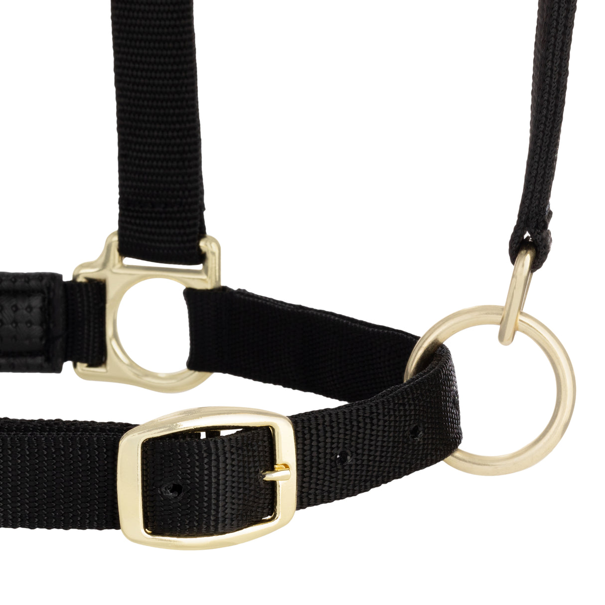 Padded Adjustable Chin and Throat Snap Halter, Solid Colors