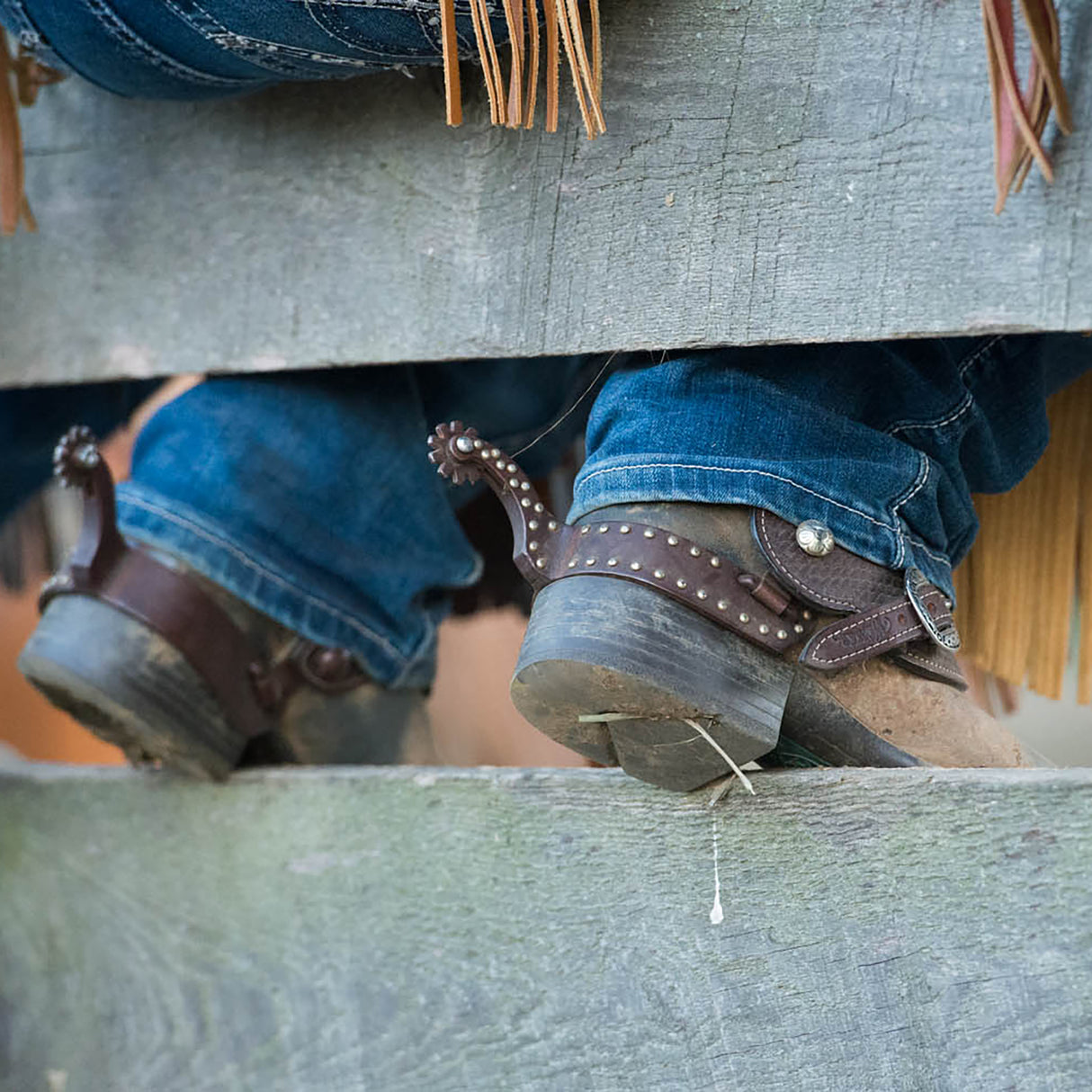 Basin Cowboy Spur Straps, Cowboy