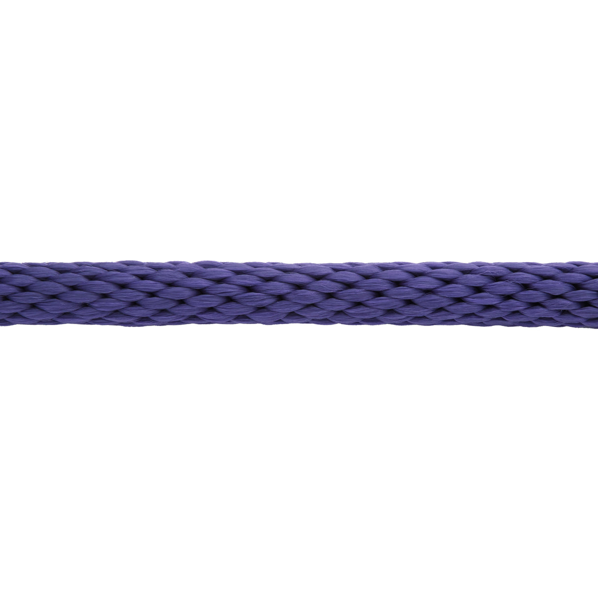 Mini/Pony Lead with Brass Snap