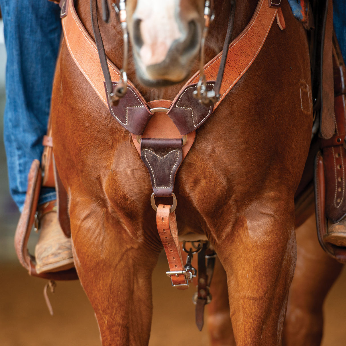 Harness and Latigo Leather Roper Breast Collar