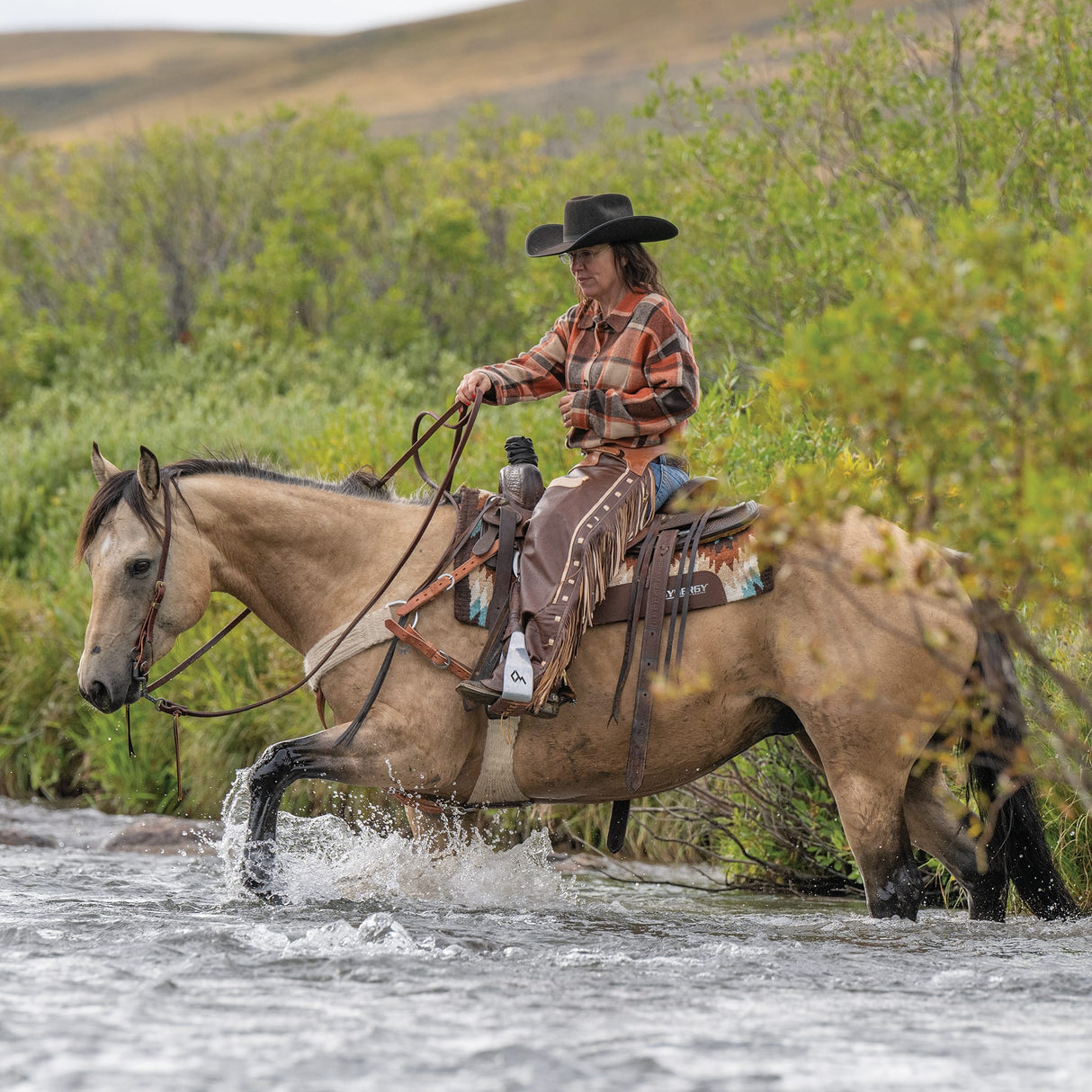 Premium Western Leather Chaps