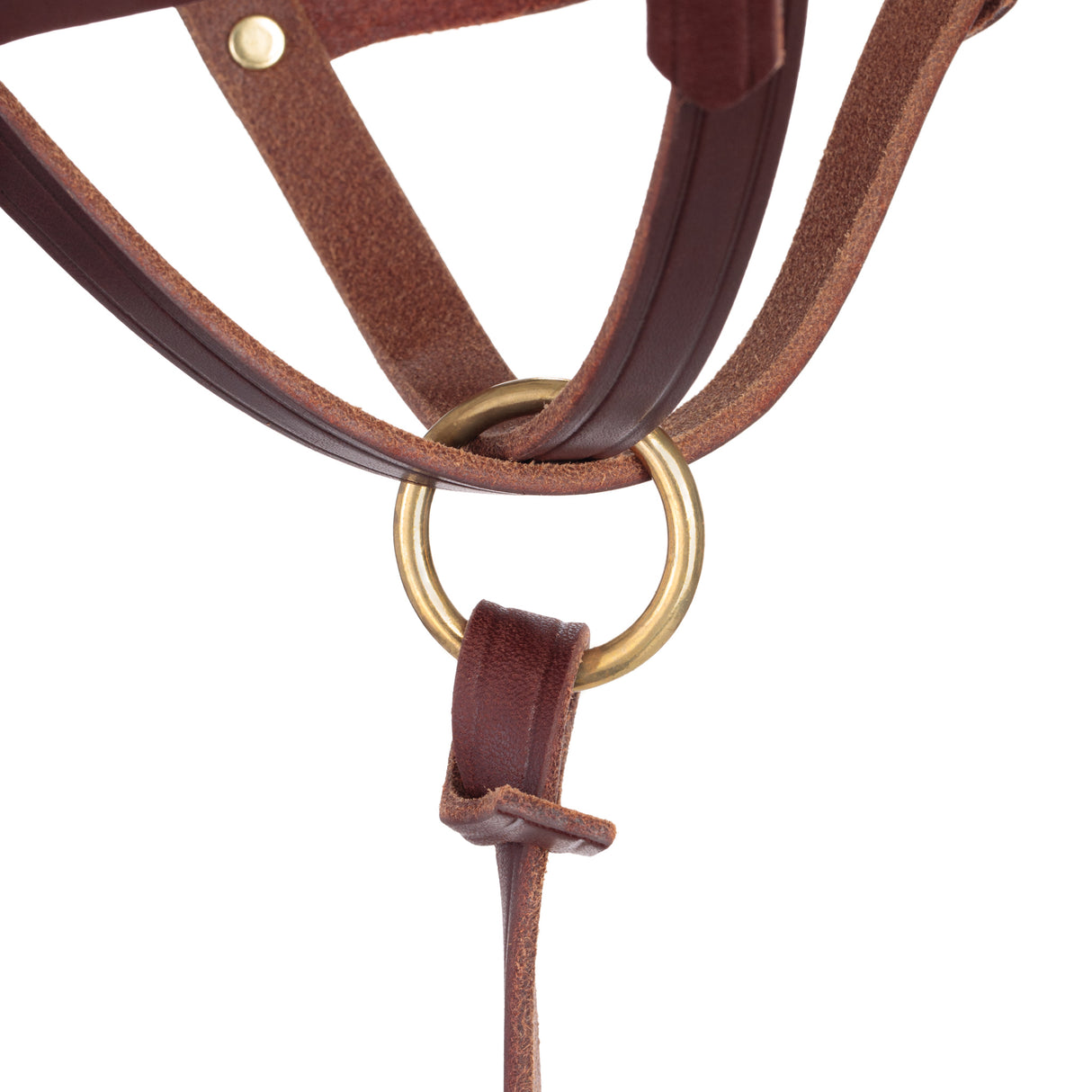 Figure 8 Foal Halter, Suckling