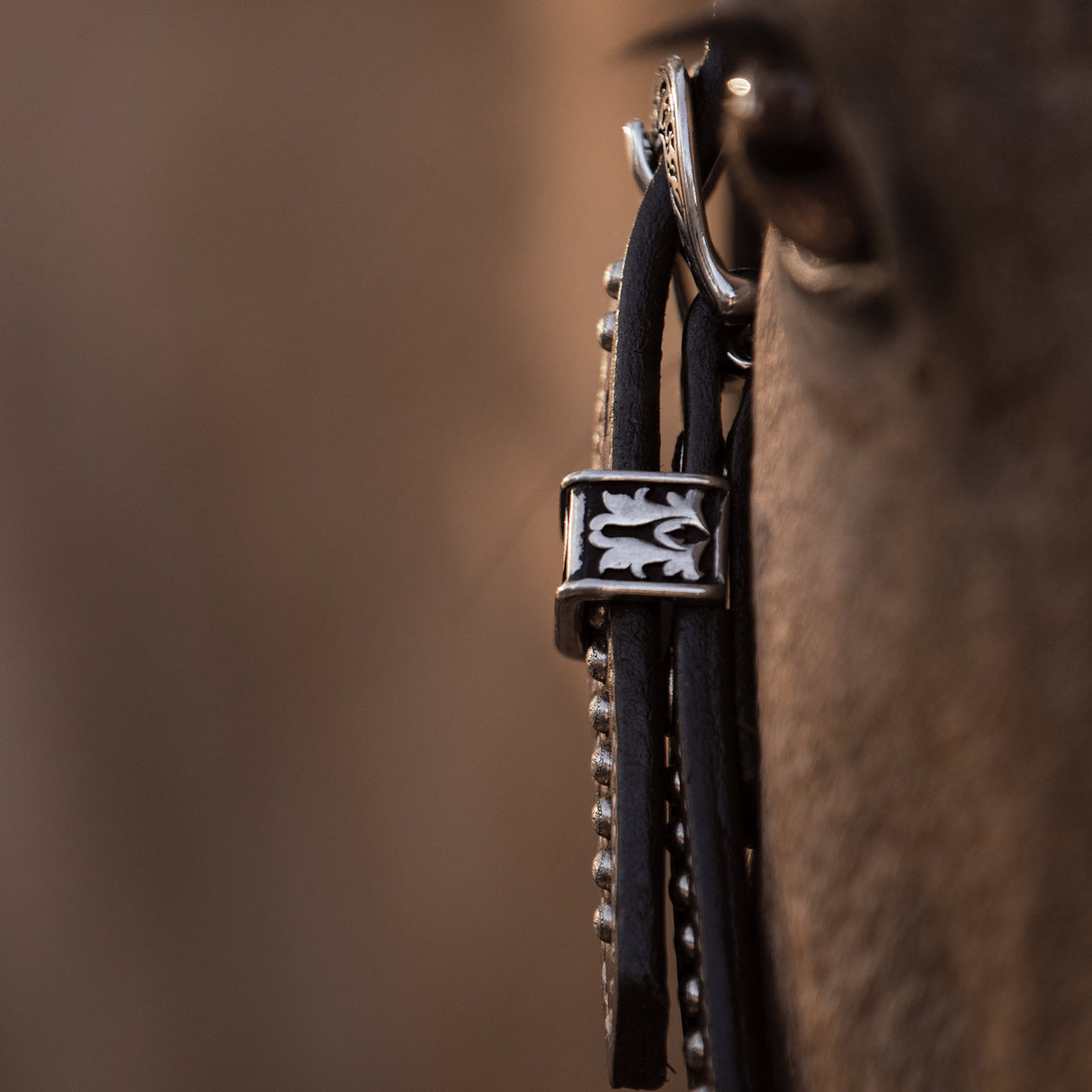 Austin Browband Headstall