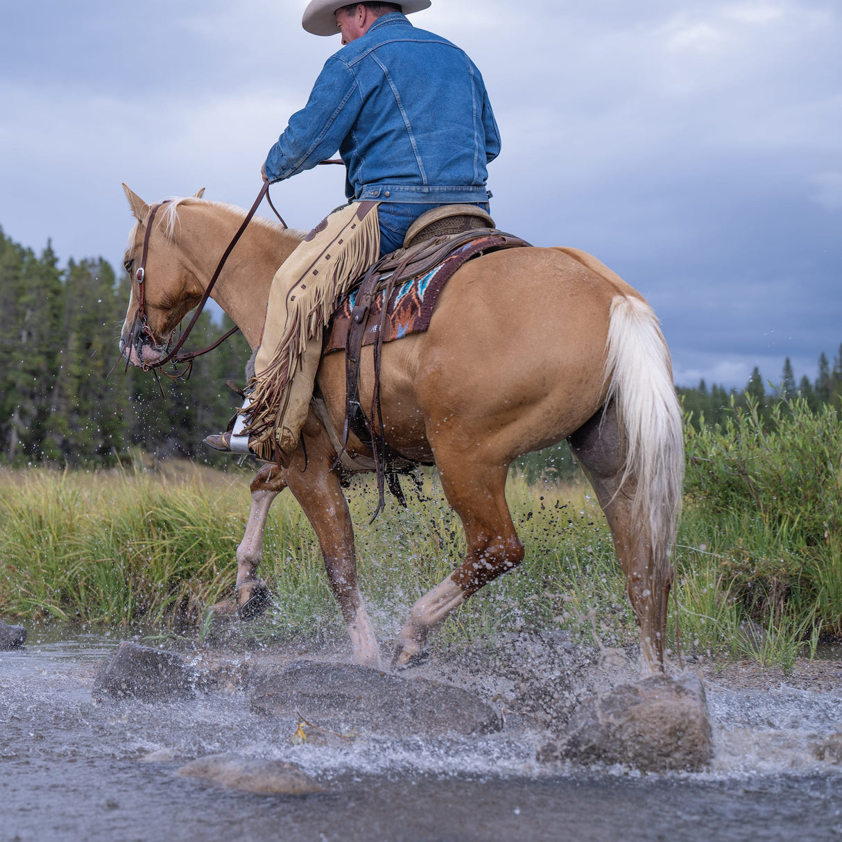 Premium Western Leather Chaps