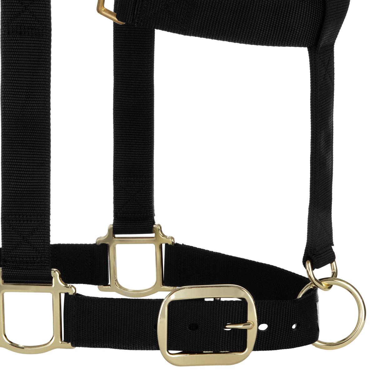 Original Adjustable Chin and Throat Snap Halter, 1-1/2" Draft