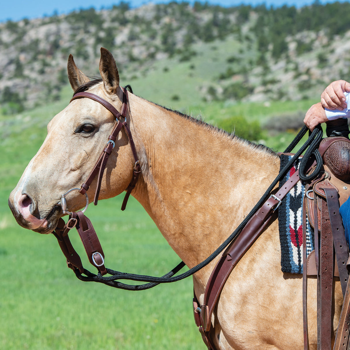 Ken McNabb Slobber Straps, Canyon Rose