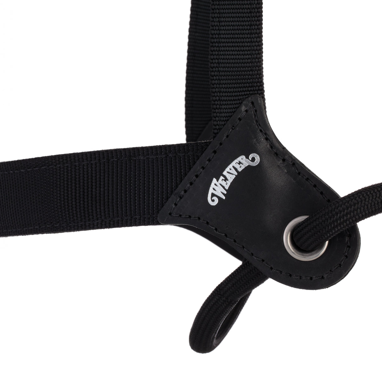 Stacy Westfall Catch Halter, Average