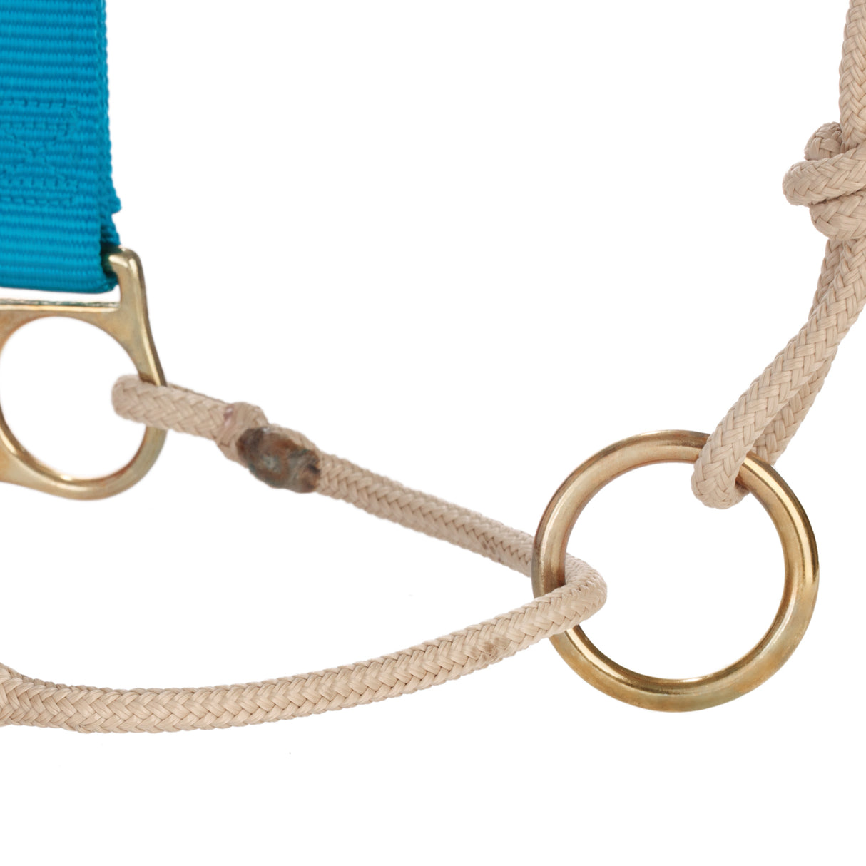 Kalley Krickeberg Nylon & Rope Combination Horseman's Halter with Side Ring