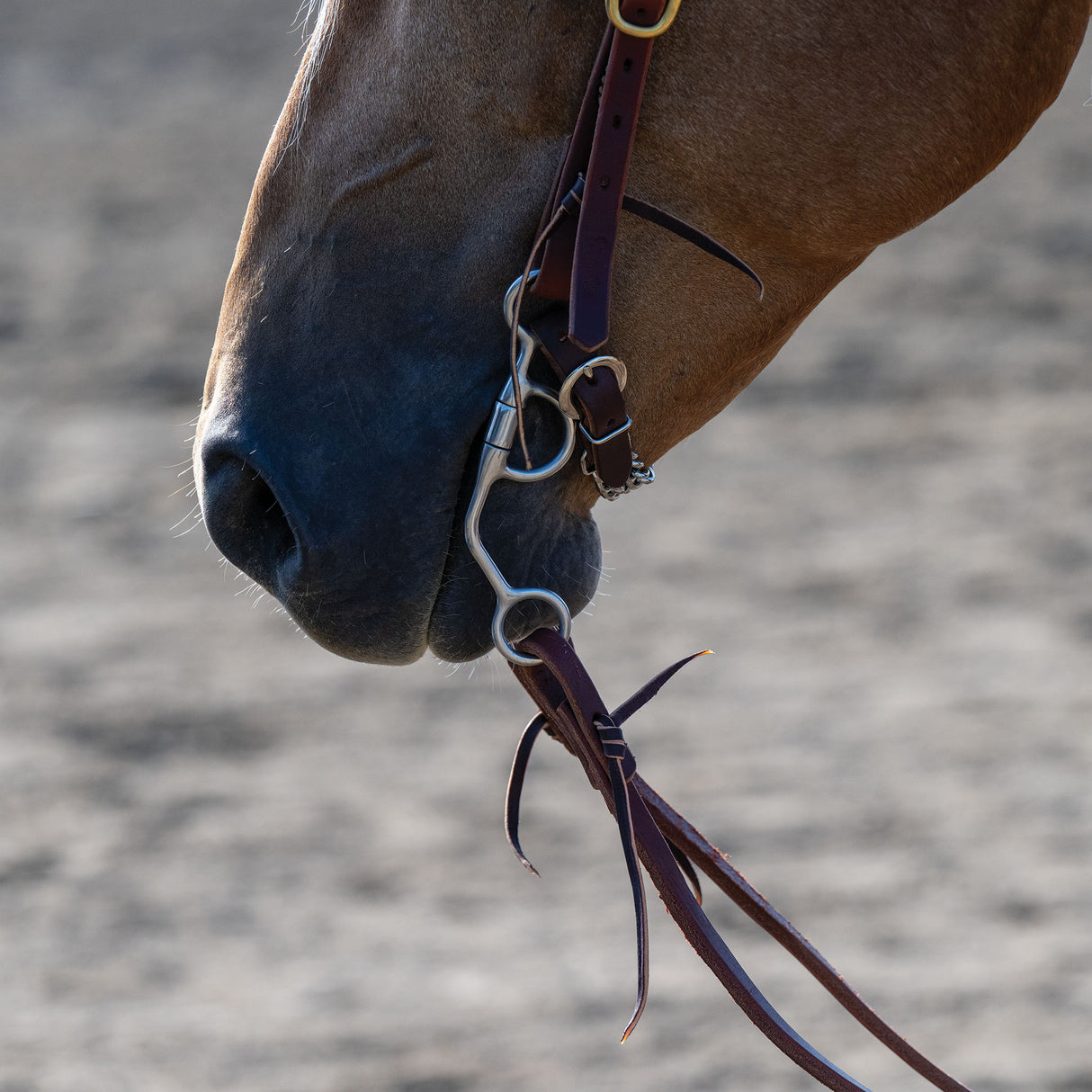 Professional Argentine Bit, 5" Sweet Iron Three-Piece Mouth