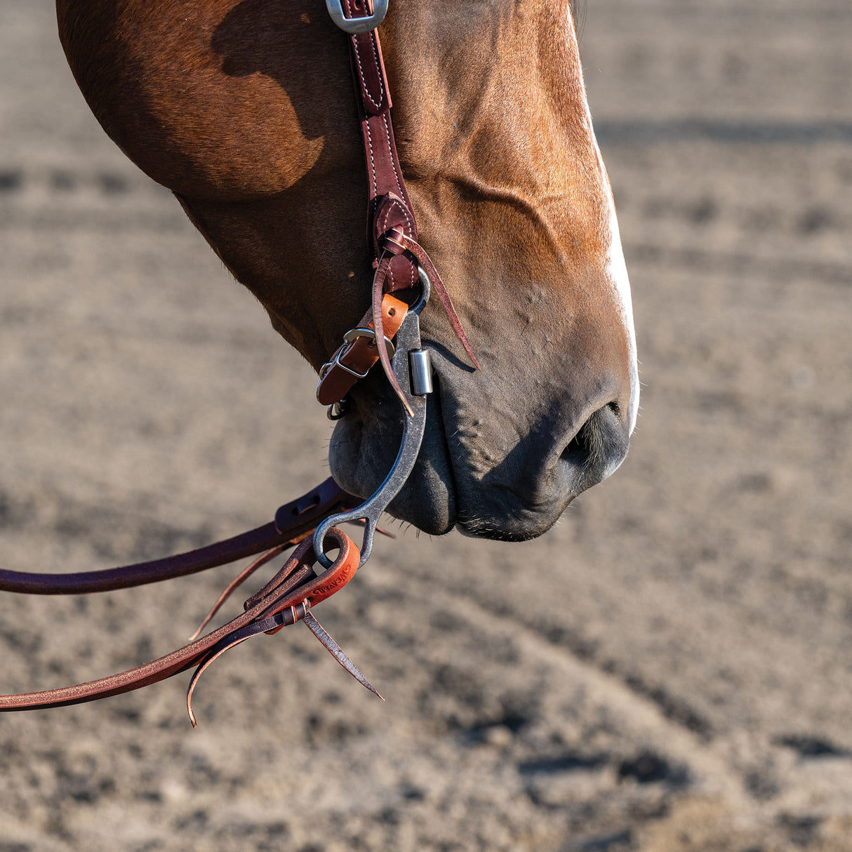 Professional Shank Bit, 5" Low Port Correction Mouth with Flat Copper Roller Bars