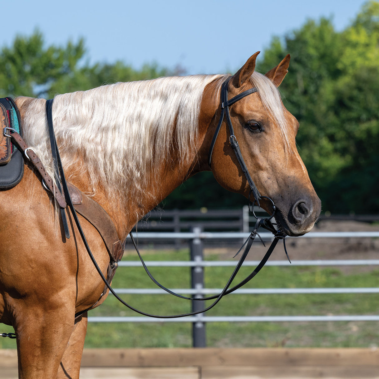 Black Leather Split Reins, 5/8" x 7