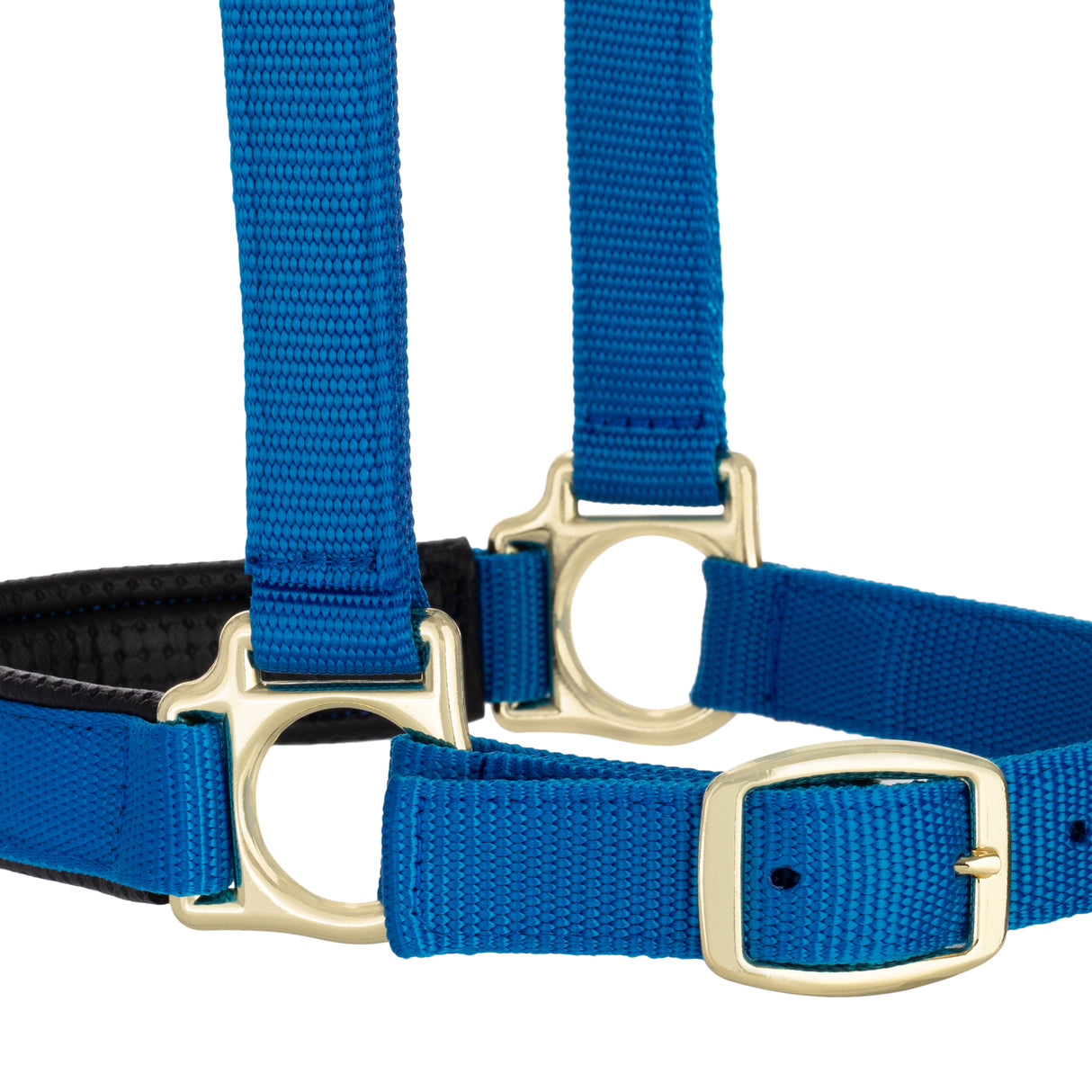 Padded Adjustable Chin and Throat Snap Halter, Solid Colors