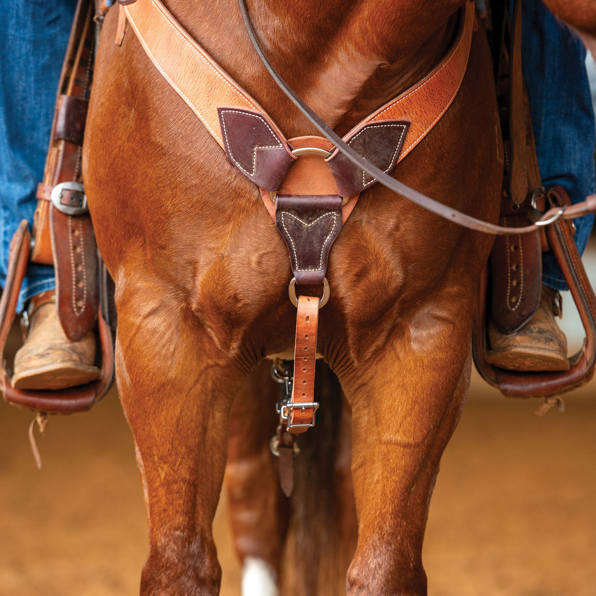 Harness and Latigo Leather Roper Breast Collar