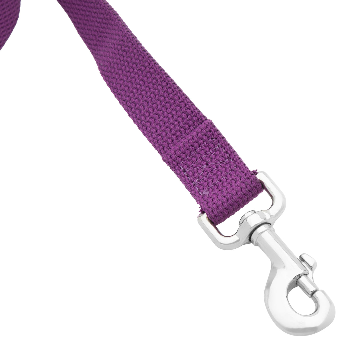 Flat Cotton Lunge Line, 1" x 30 with Nickel