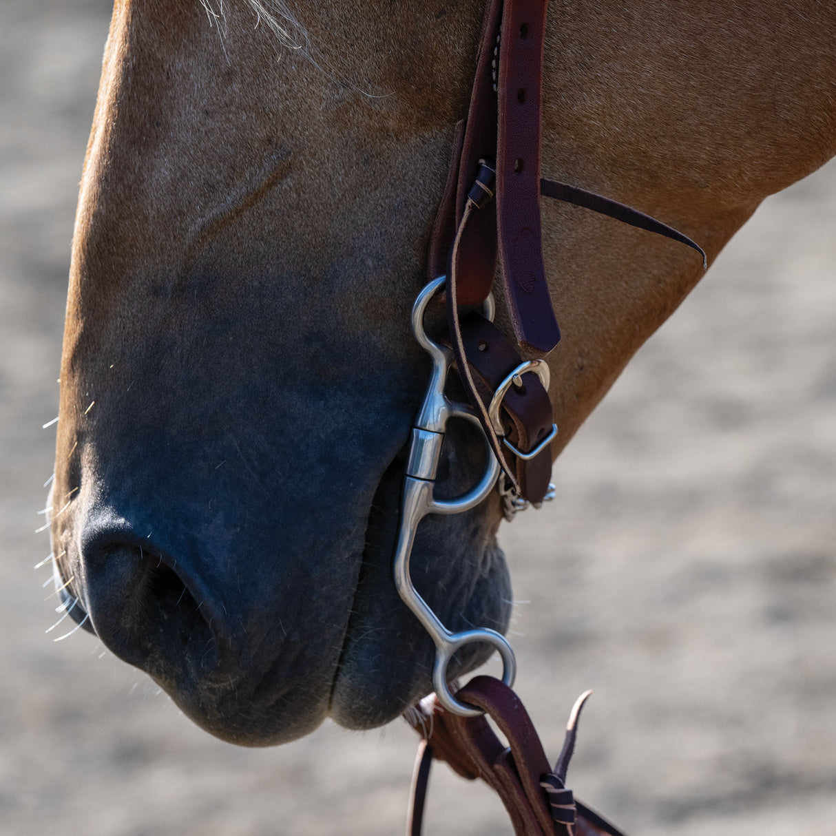 Professional Argentine Bit, 5" Sweet Iron Three-Piece Mouth