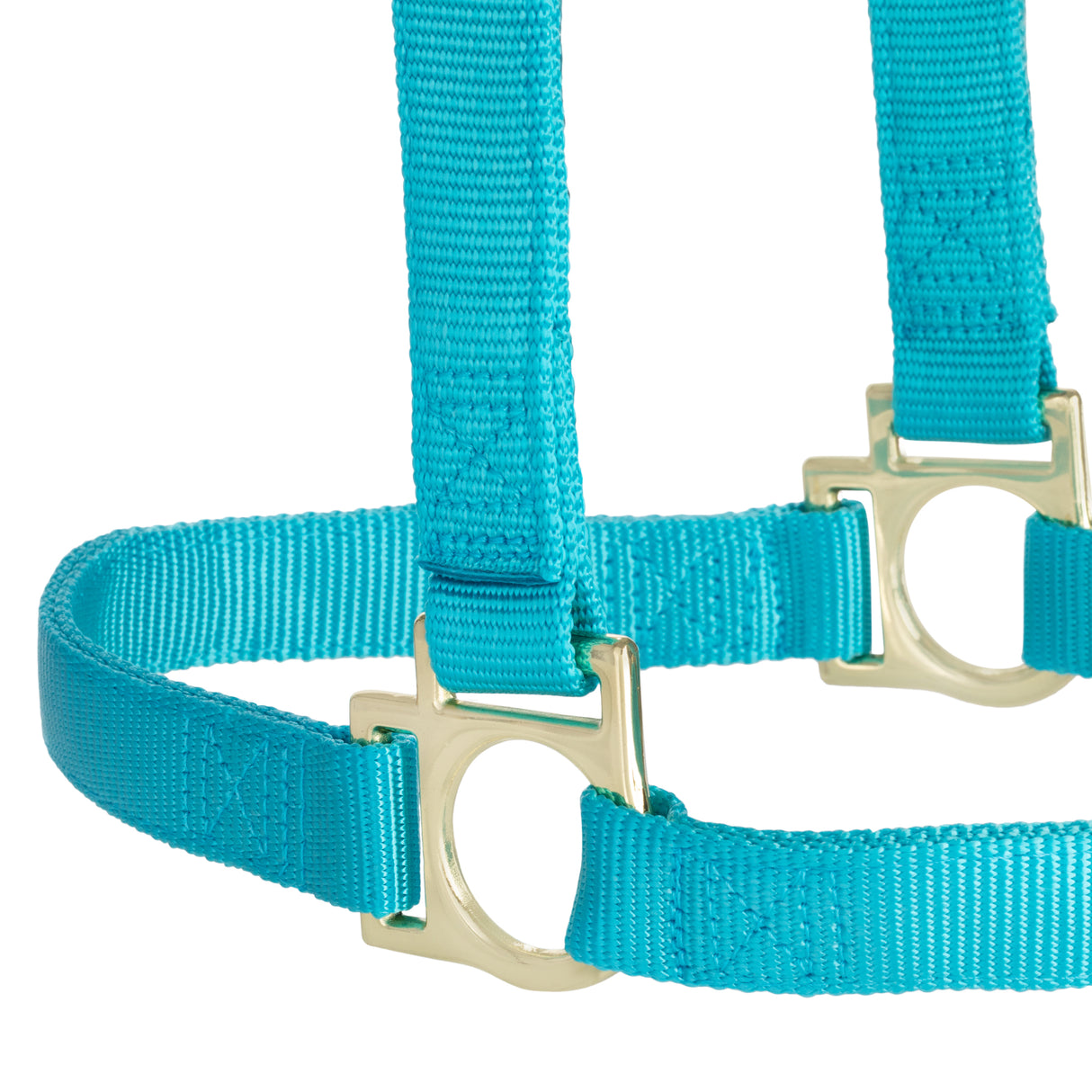 Basic Non-Adjustable Halter