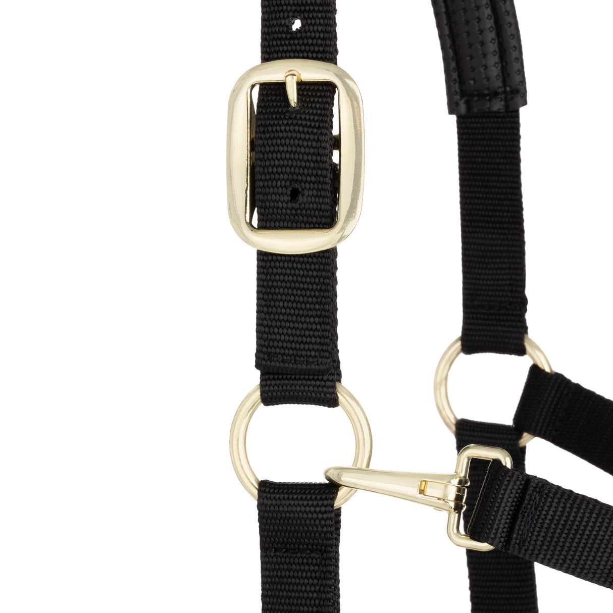 Padded Adjustable Chin and Throat Snap Halter, Solid Colors