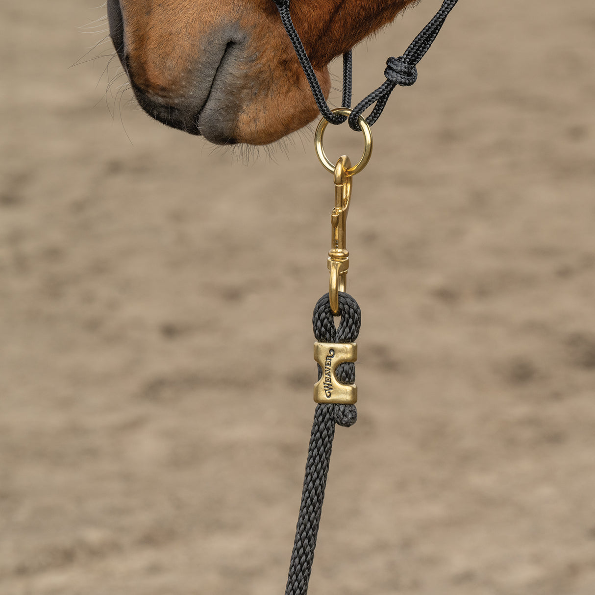 Kalley Krickeberg Breakaway Horseman's Halter, Nylon, Leather & Rope Combination Horse Halter