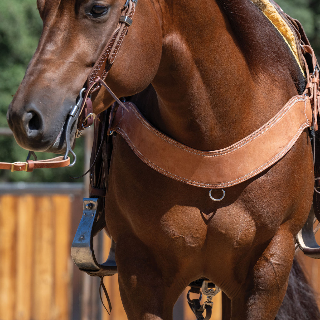 Heavy-Duty Steer Roper Breast Collar