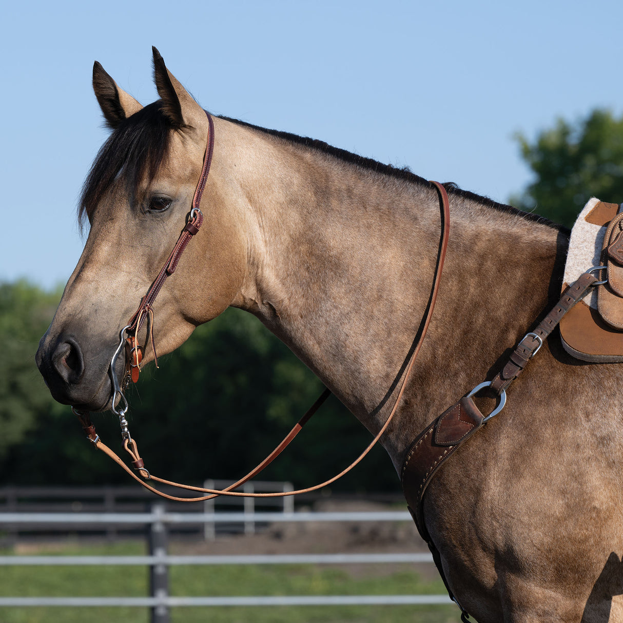 Latigo Leather Flat Sliding Ear Headstall