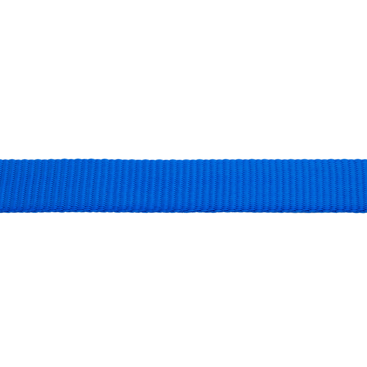 Flat Nylon Lunge Line, 1" x 30 with Snap