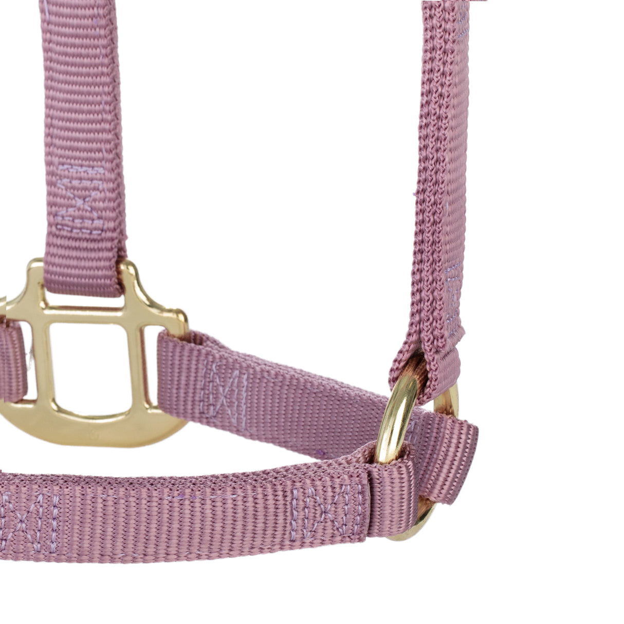 Original Non-Adjustable Halter, Weanling/Pony, 3/4"