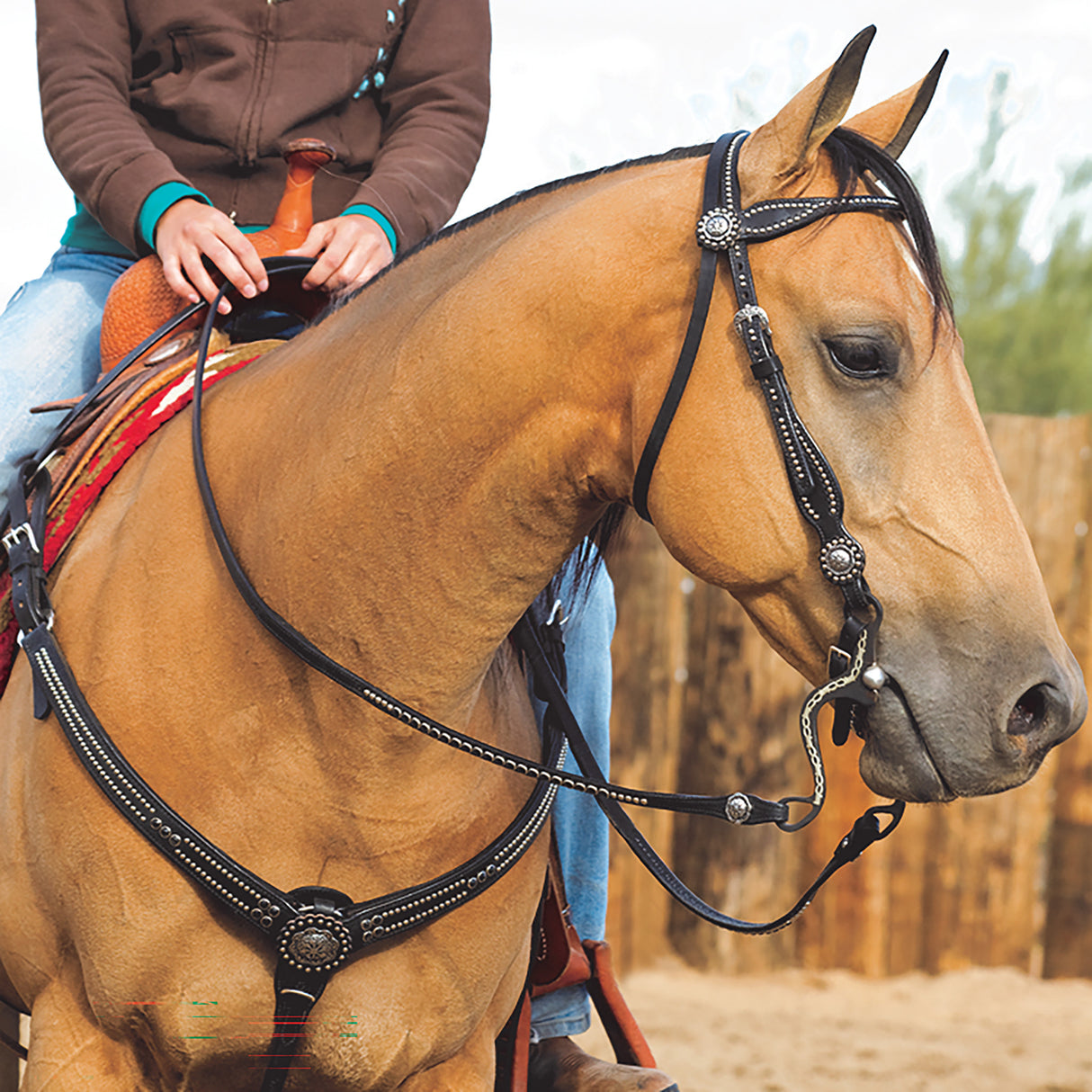 Back in Black Browband Headstall