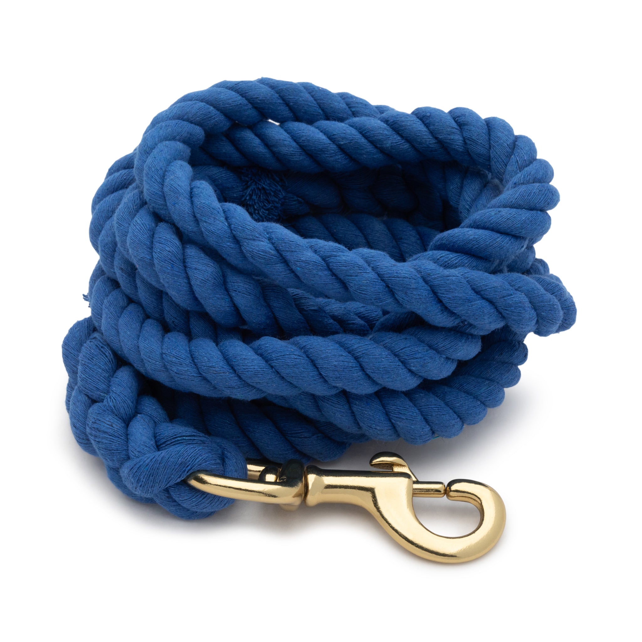 Cotton Lead Rope with Brass Plated 225 Snap, 5/8" x 10'
