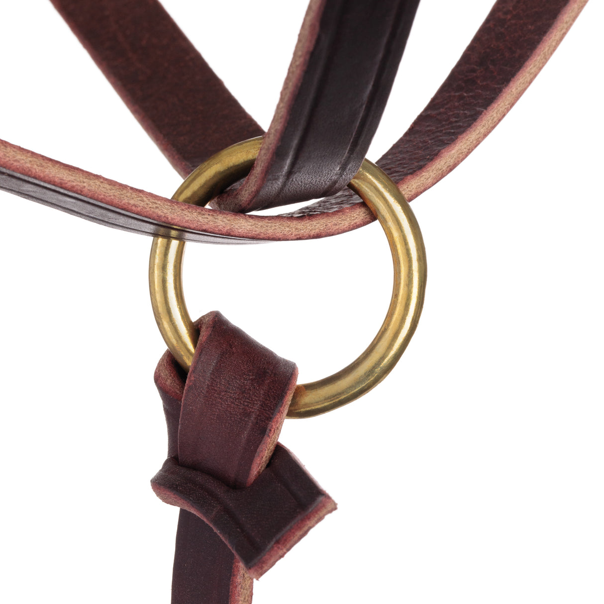 Figure 8 Foal Halter, Suckling