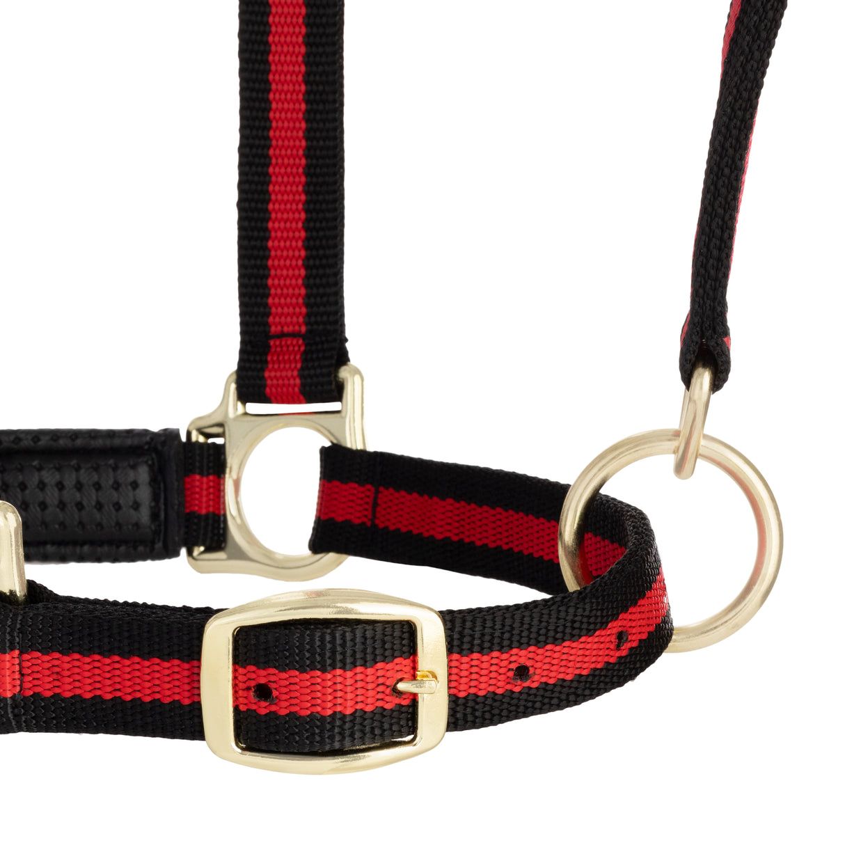 Padded Adjustable Chin and Throat Snap Halter, Striped