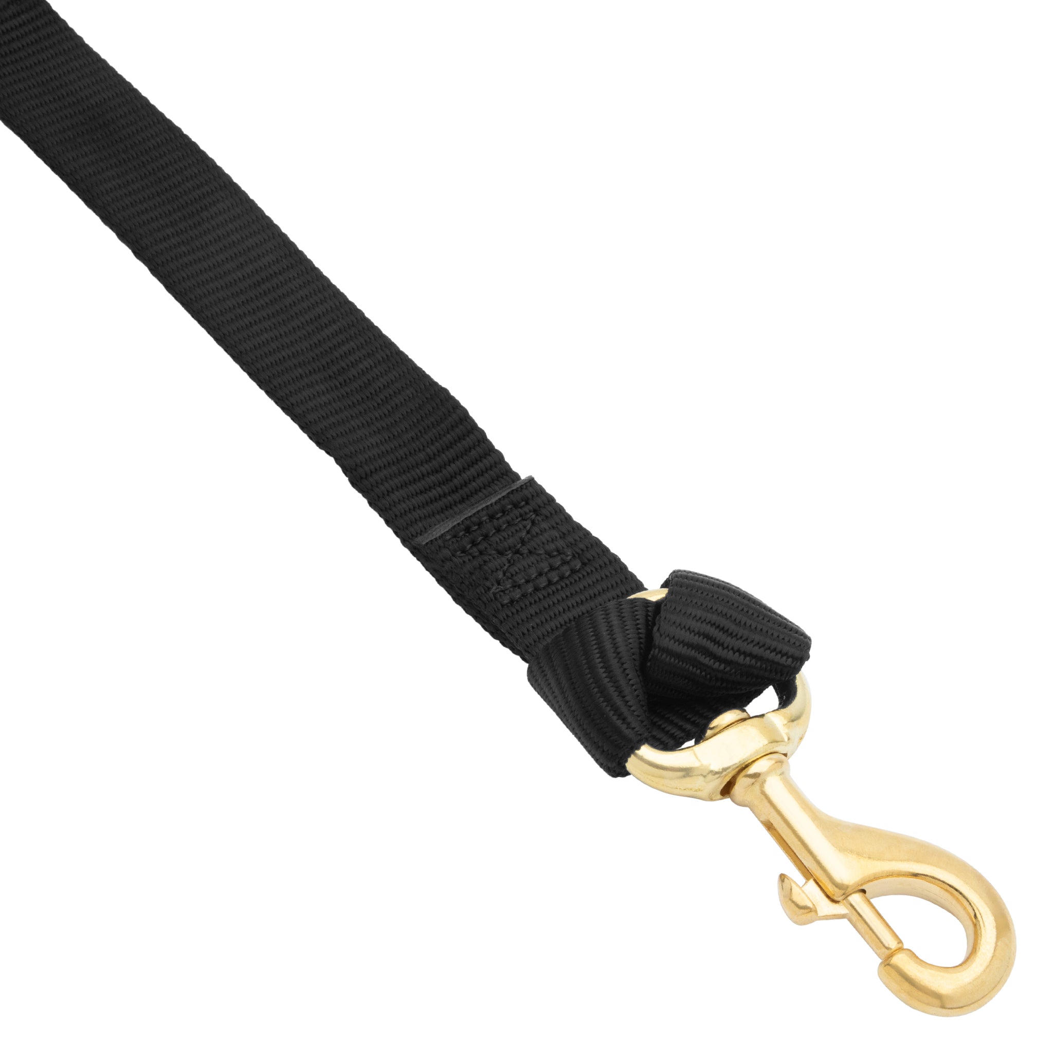 Flat Nylon Lunge Line, 1" x 24 with Snap