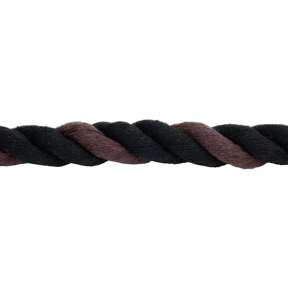 Cotton Lead Rope with Brass Plated 225 Snap, 5/8" x 10'