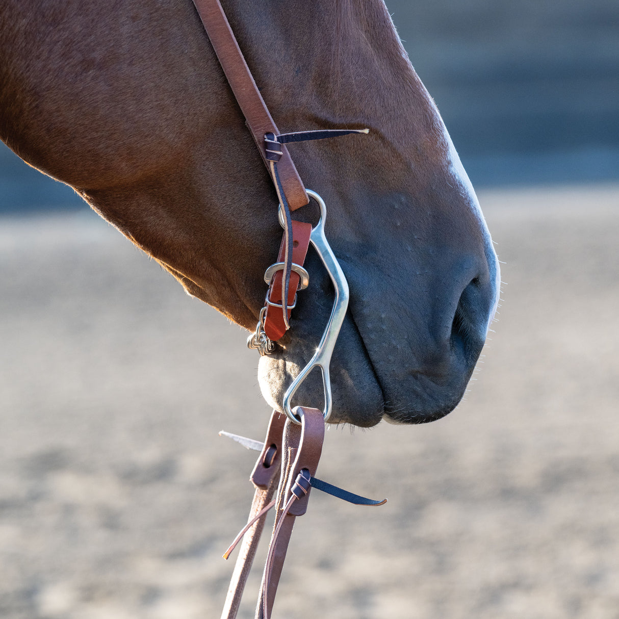 All Purpose Bit, 5-1/2" Medium Port Copper Mouth