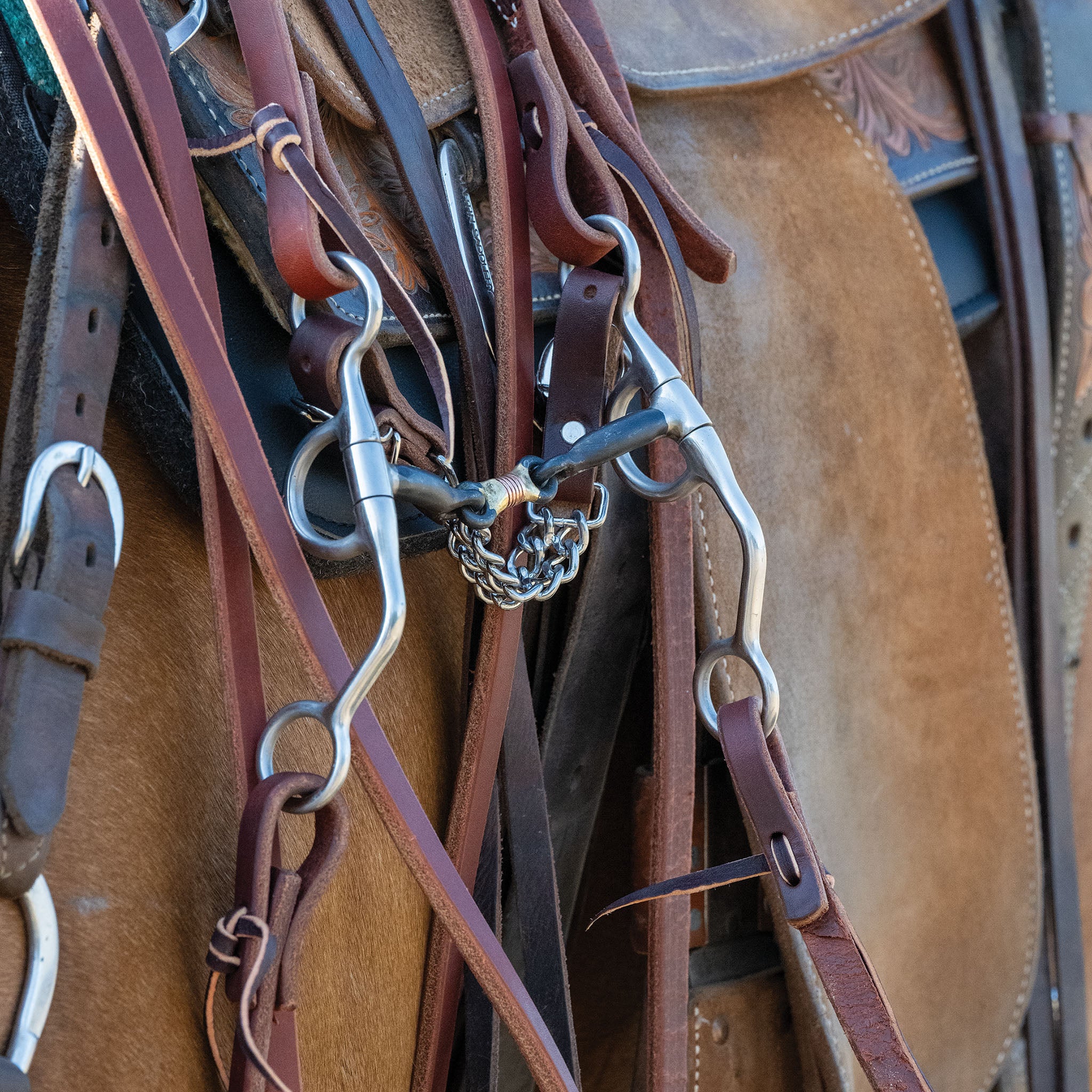 Professional Argentine Bit, 5" Sweet Iron Three-Piece Mouth