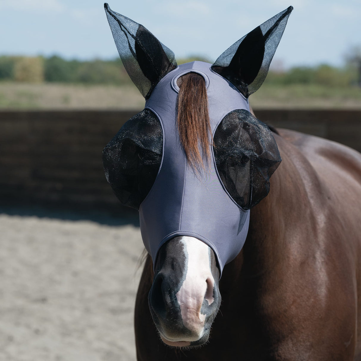 Equine Lycra® Fly Masks Powered by Coolcore®