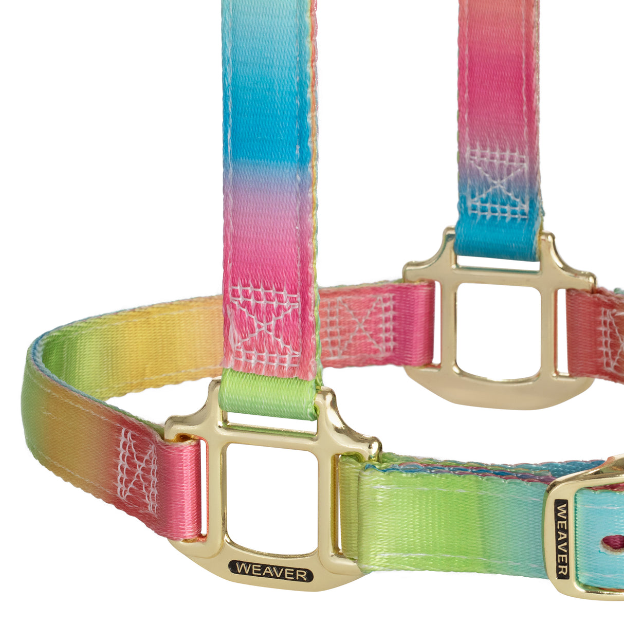 Rainbow Adjustable Polyester Halter, 1"