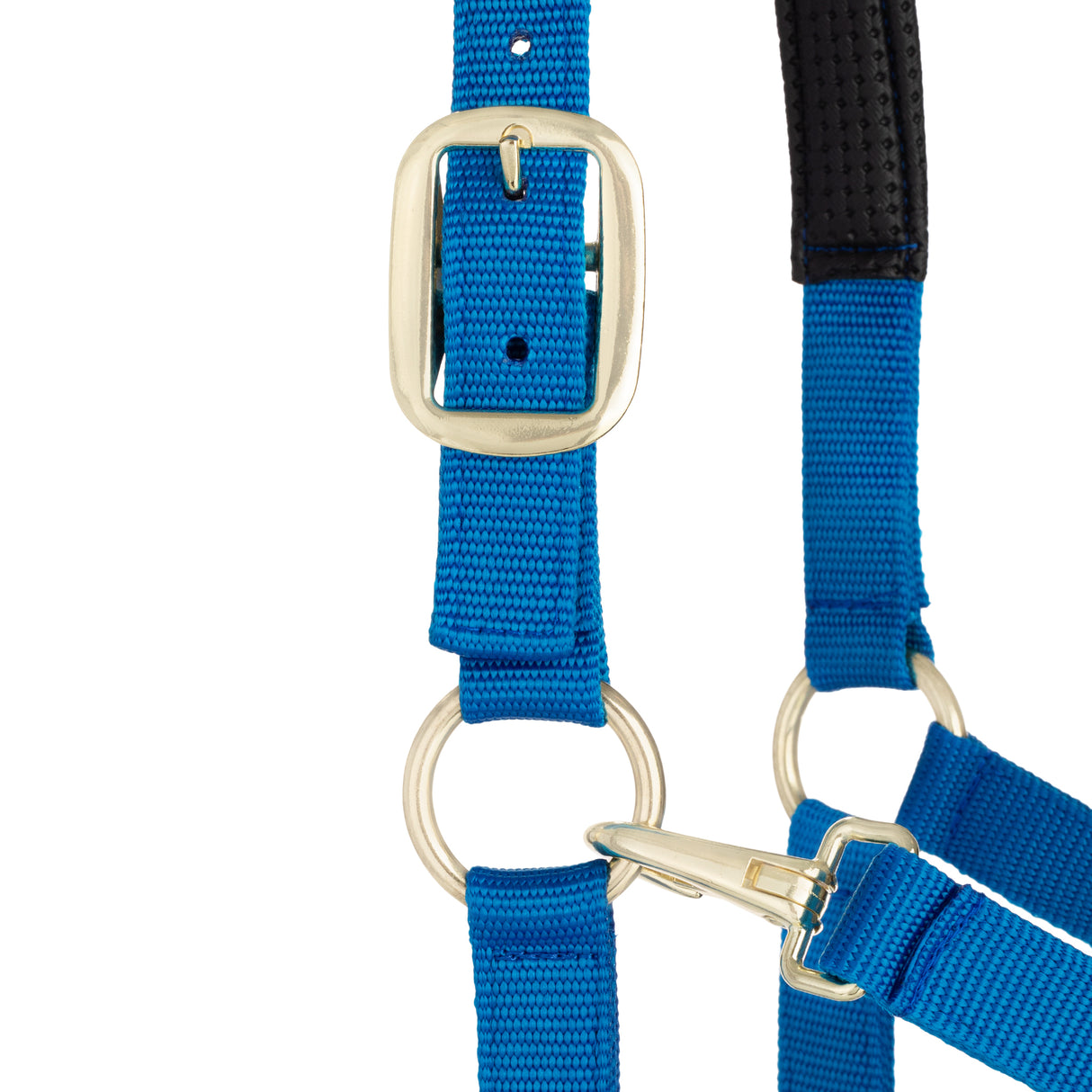 Padded Adjustable Chin and Throat Snap Halter, Solid Colors