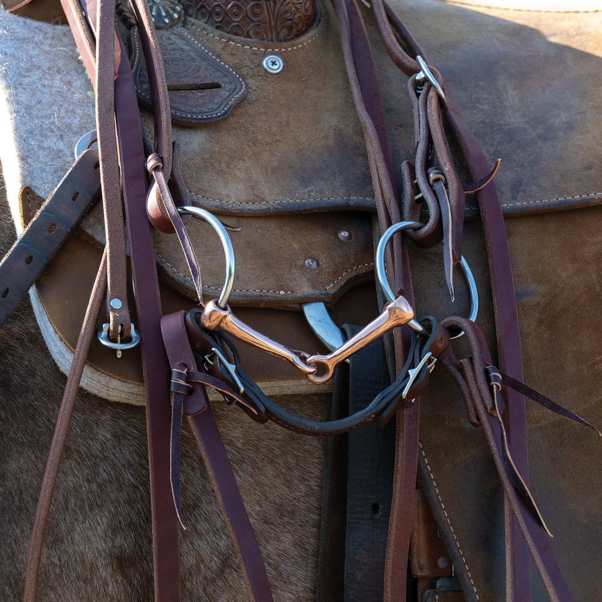 Professional Ring Snaffle Bit, 5" Copper Mouth