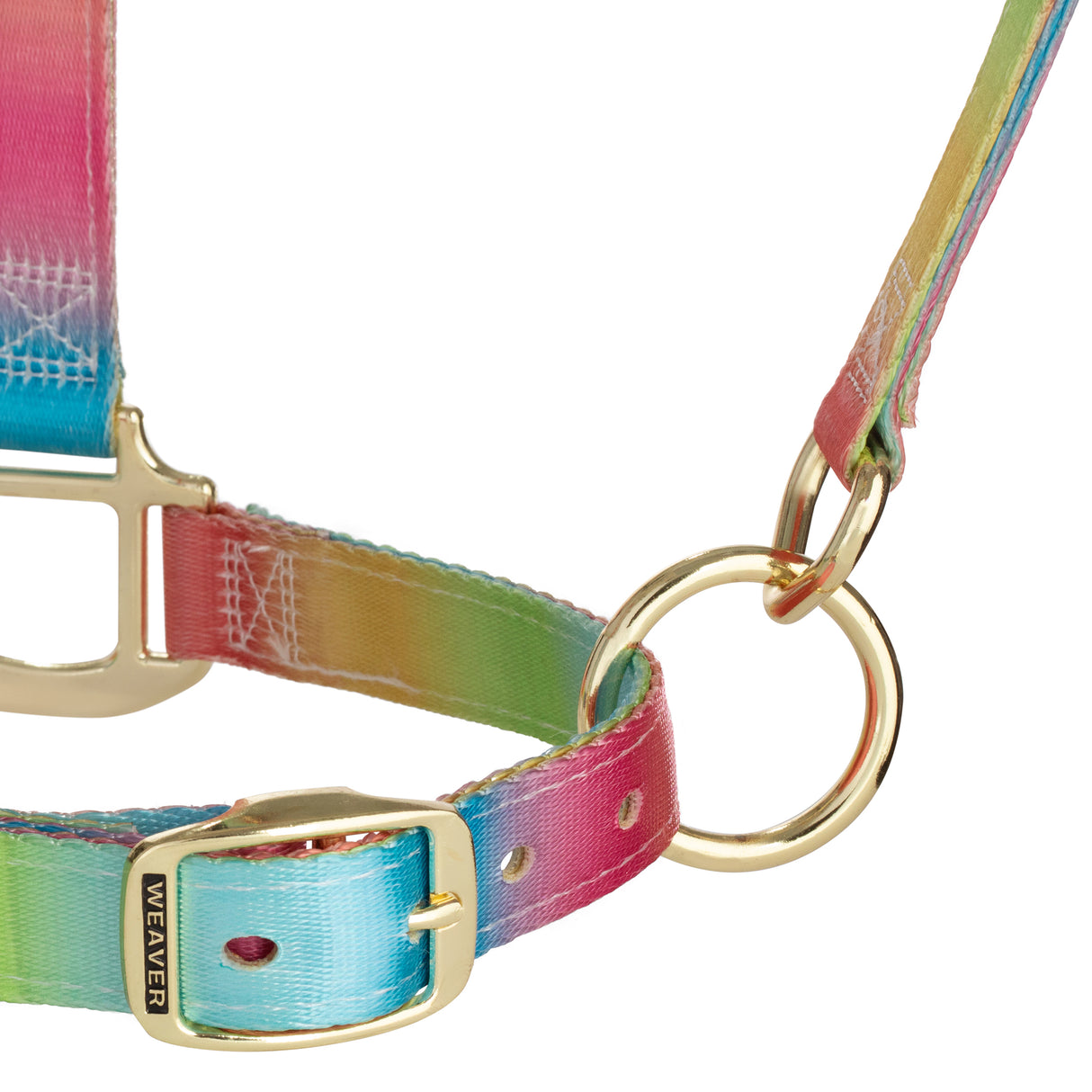 Rainbow Adjustable Polyester Halter, 1"