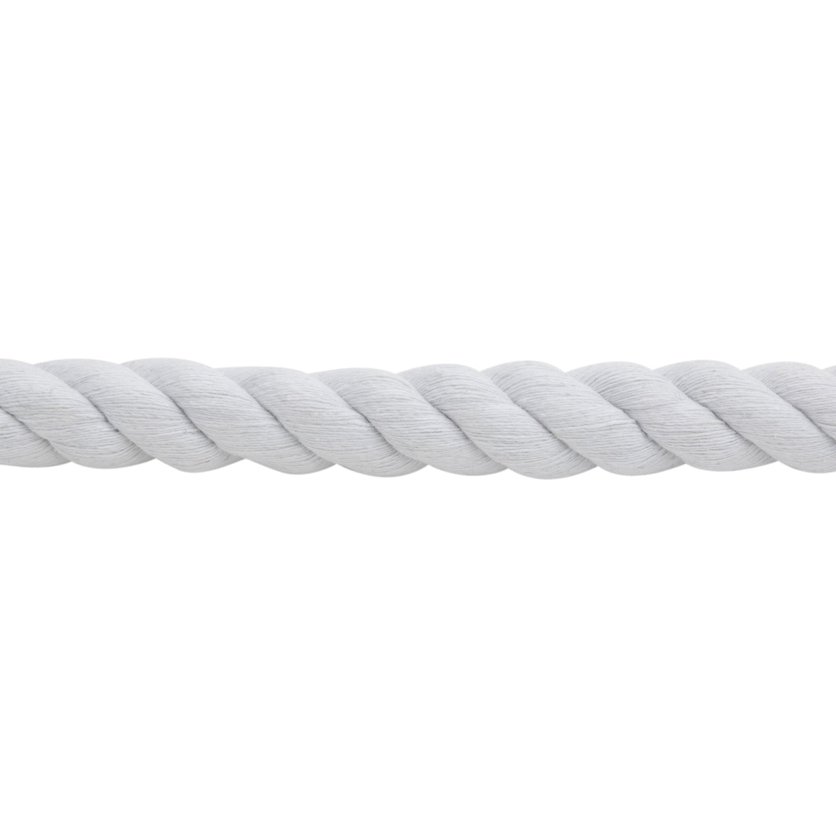 White Cotton Lead Rope with Nickel Plated Bull Snap