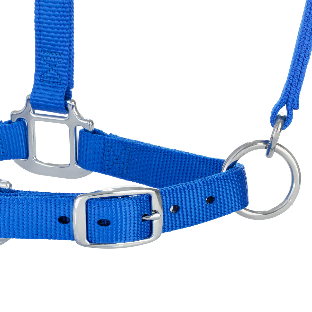 Original Adjustable Nylon Halter with Chrome Plated Hardware