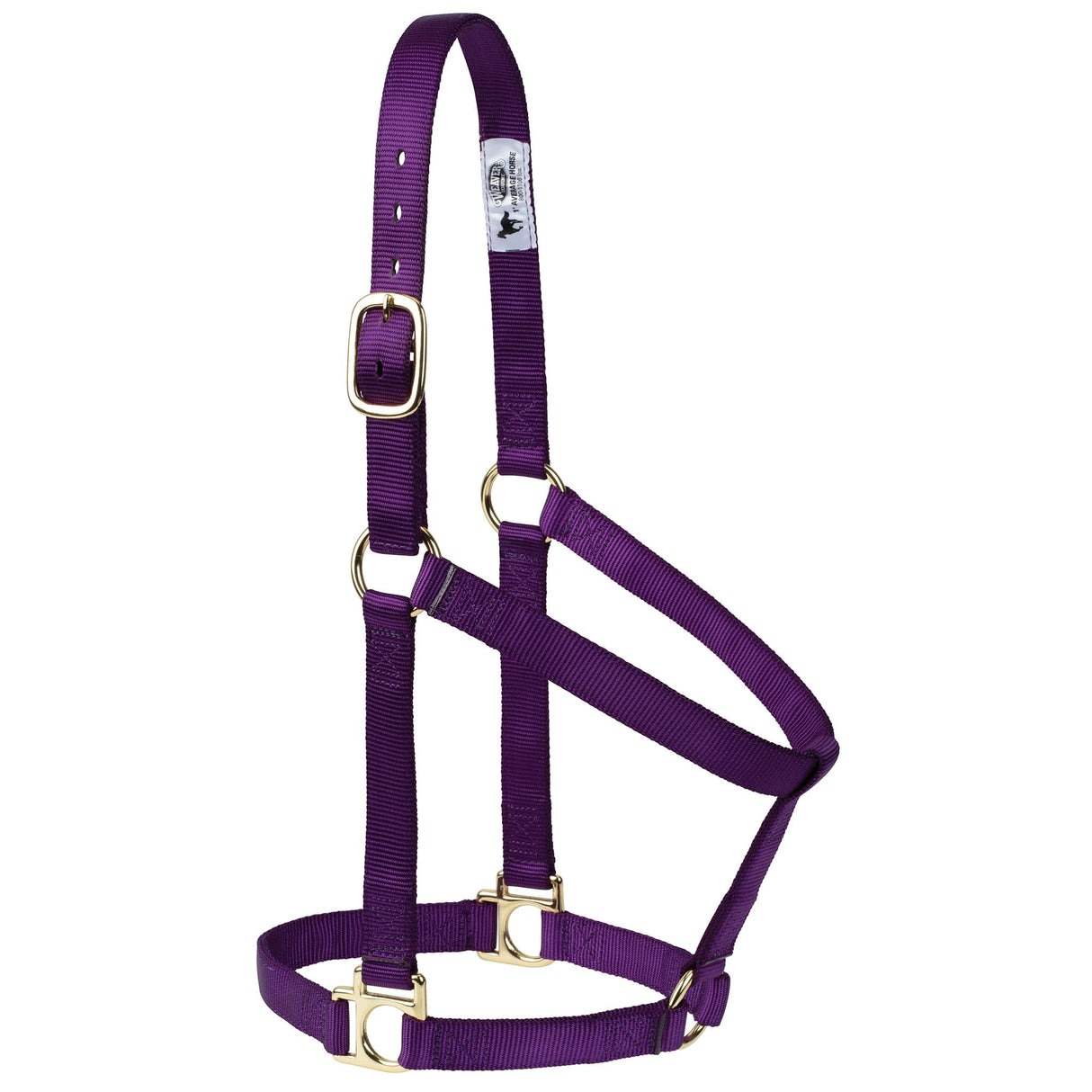 Poly Horse Halter, Non-Adjustable, Weanling to Large