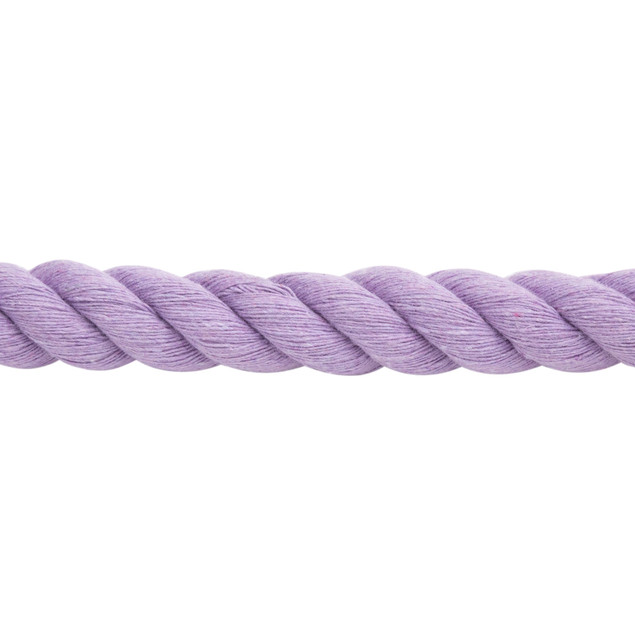 Cotton Lead Rope with Brass Plated 225 Snap, 5/8" x 10'