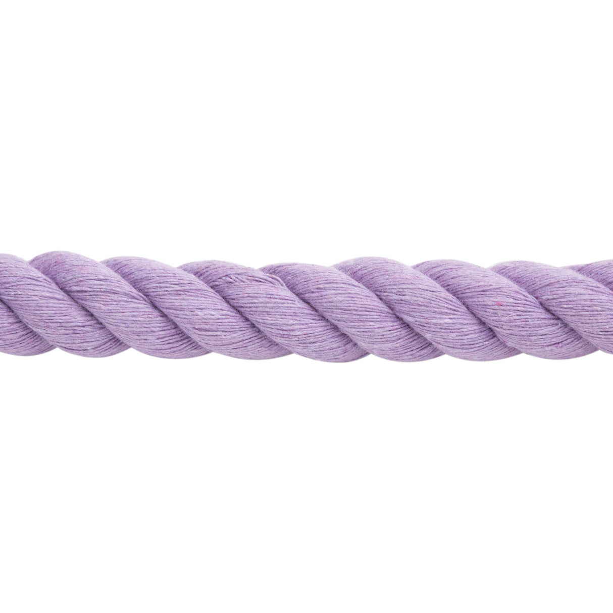 Cotton Lead Rope with Brass Plated 225 Snap, 5/8" x 10'