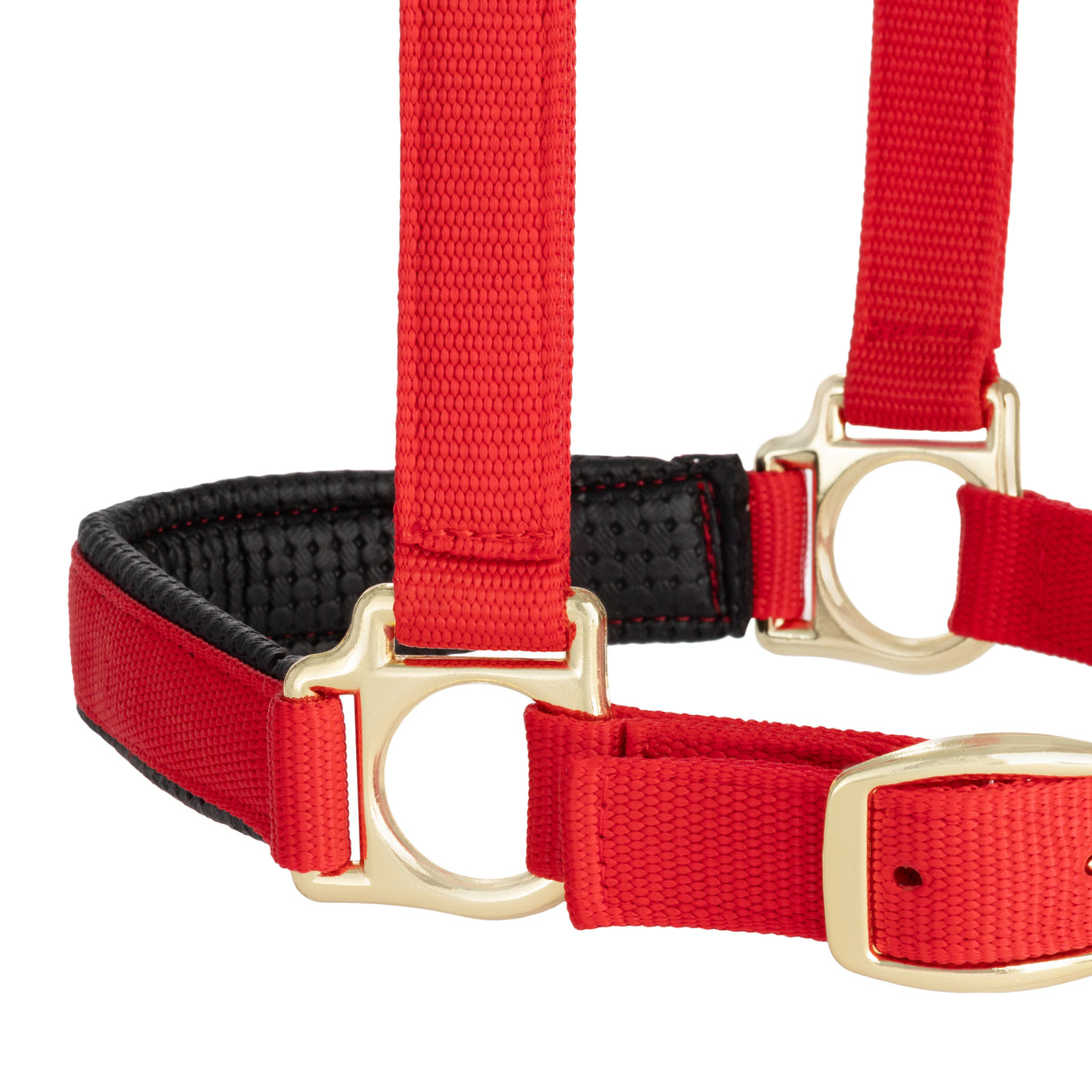 Padded Adjustable Chin and Throat Snap Halter, Solid Colors