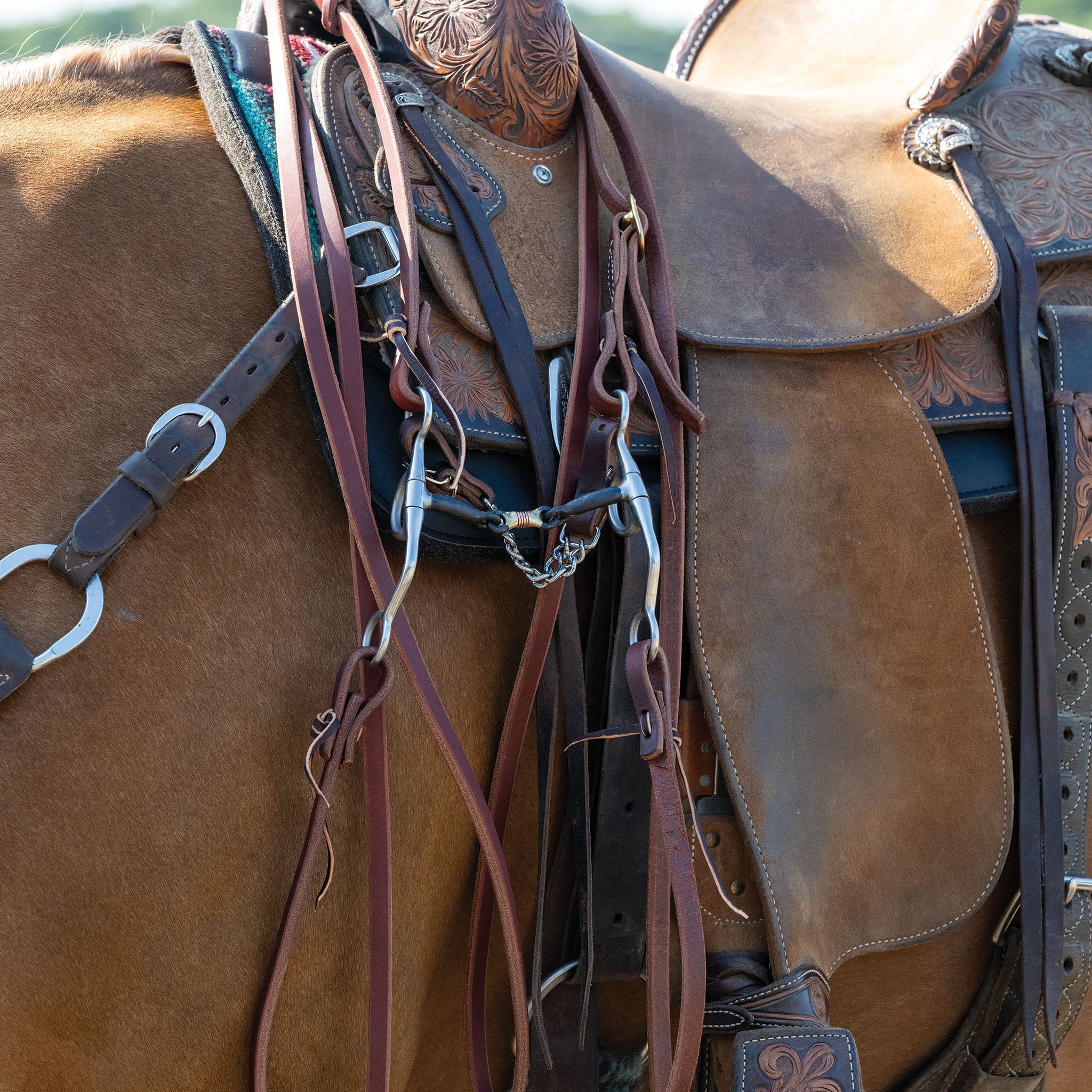 Professional Argentine Bit, 5" Sweet Iron Three-Piece Mouth