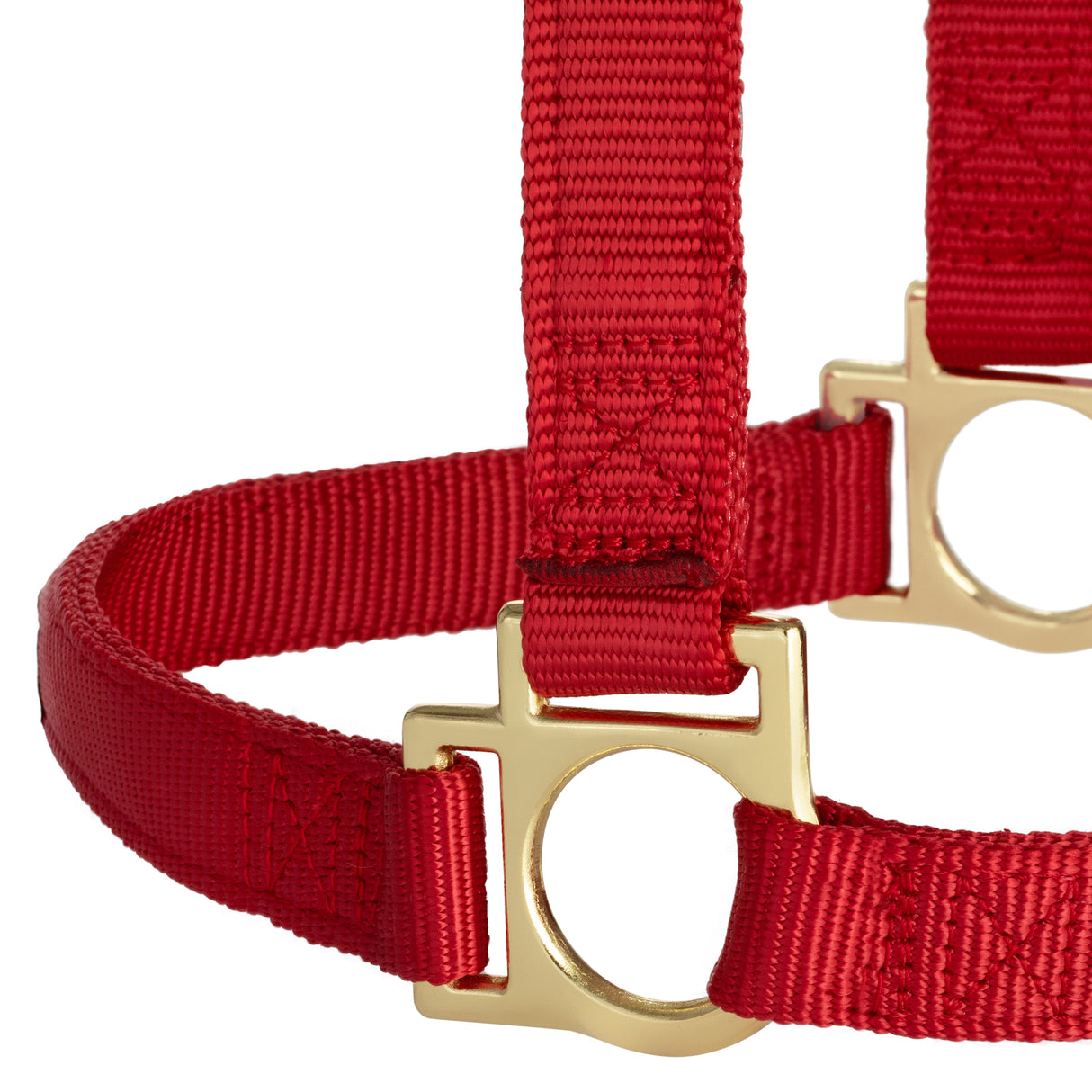Basic Non-Adjustable Halter