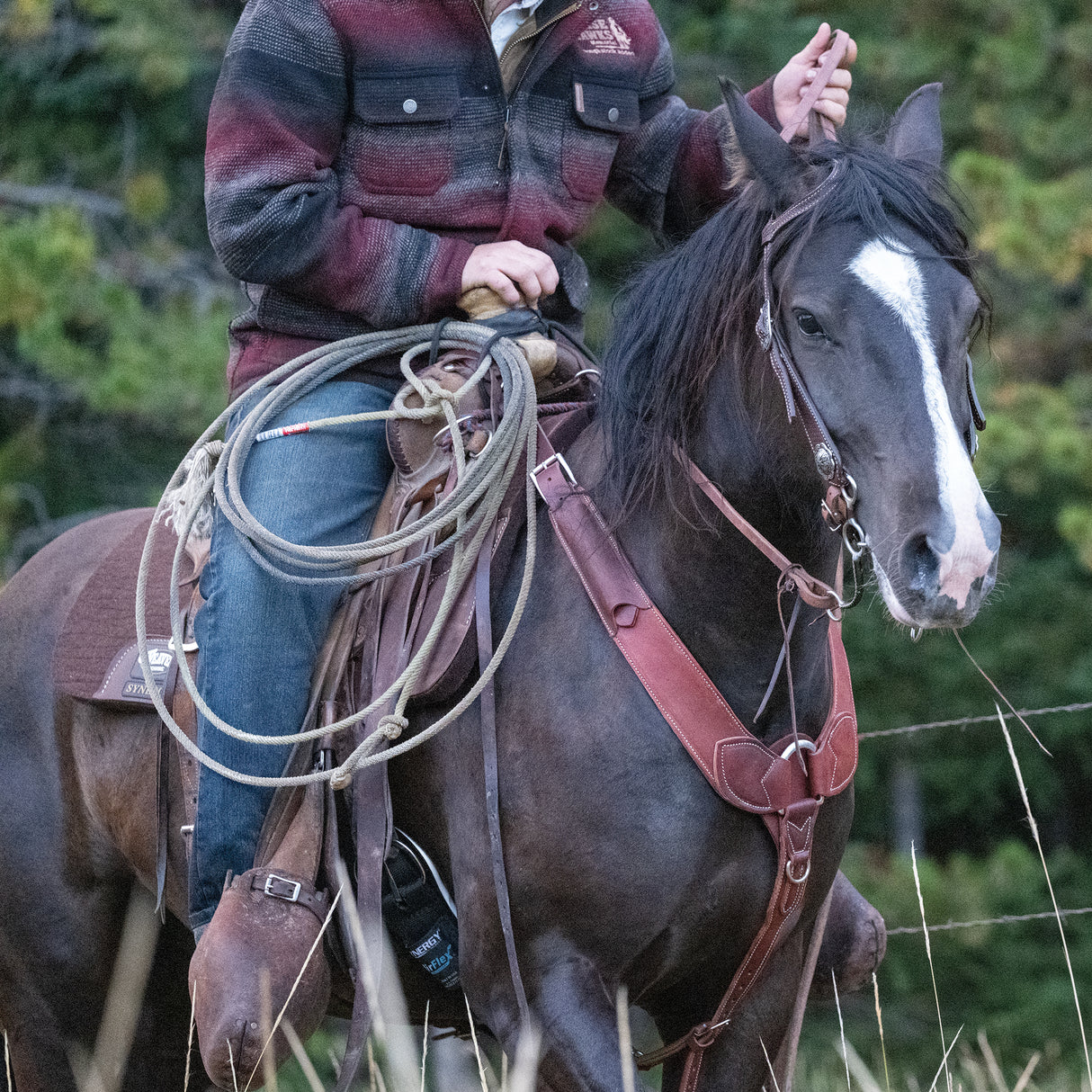 Basin Cowboy Sliding Ear Headstall