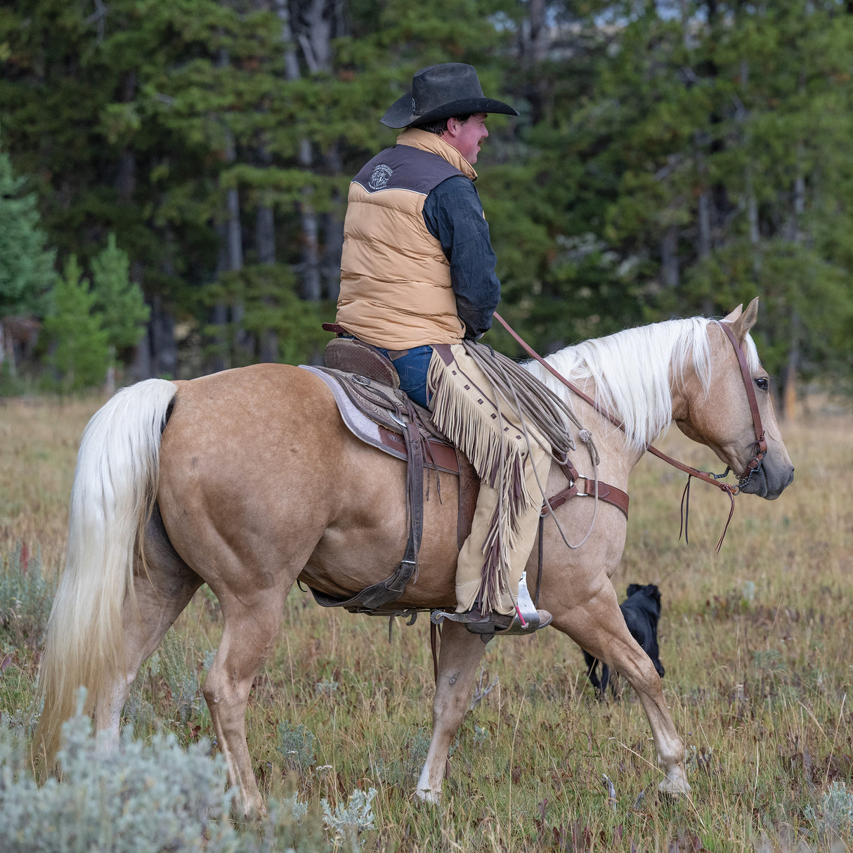Premium Western Leather Chaps