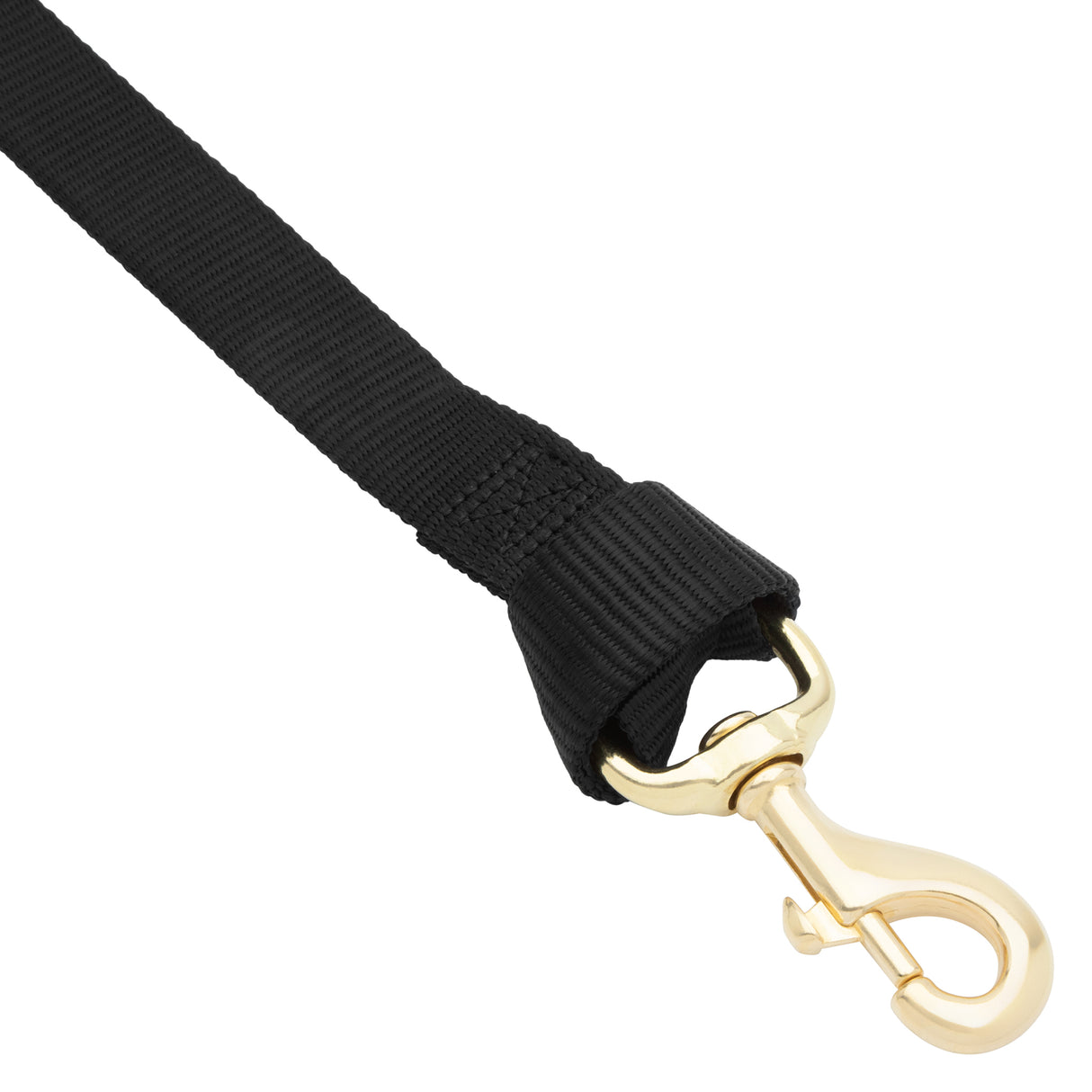 Flat Nylon Lunge Line, 1" x 30 with Snap